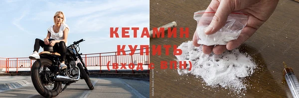 шишки Лагань
