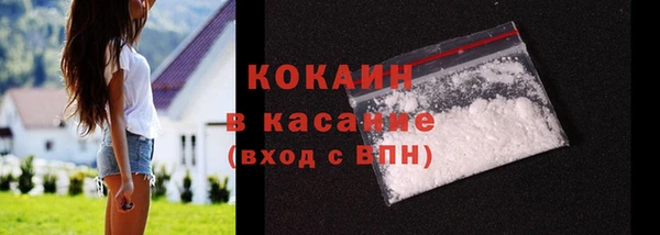 шишки Лагань