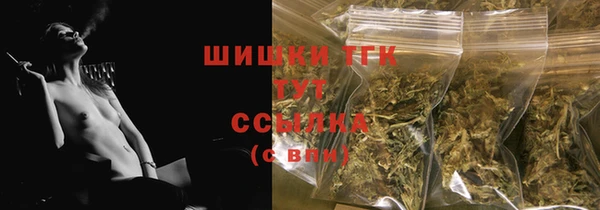 шишки Лагань
