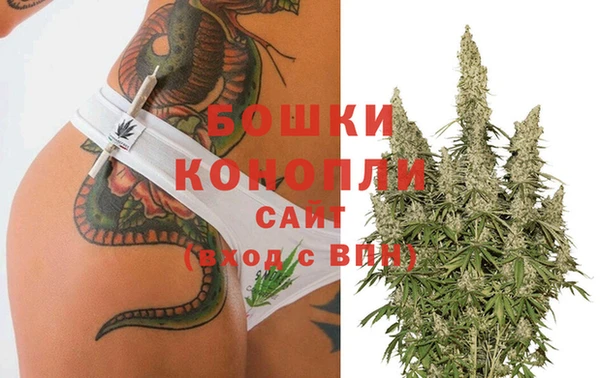 шишки Лагань