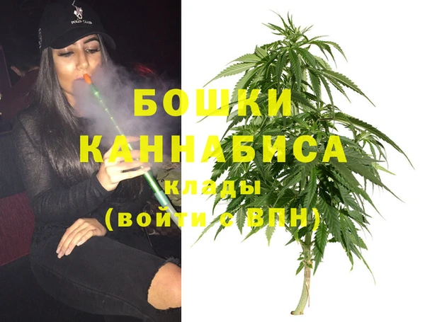 шишки Лагань