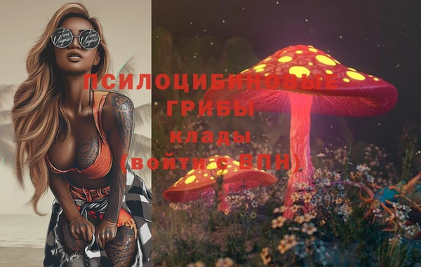 mdpv Ладушкин