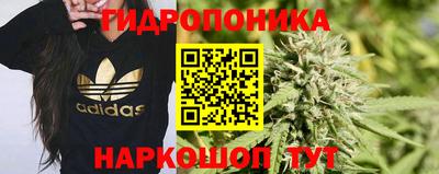 гашик Аргун